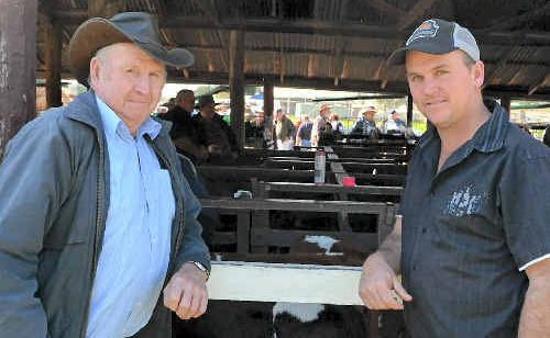 Swan Creek’s Vince McConville caught up with family member Anthony McConville from Yangan at yesterday’s pig and calf sale. Swan Creek’s Vince McConville caught up with family member Anthony McConville from Yangan at yesterday’s pig and calf sale.